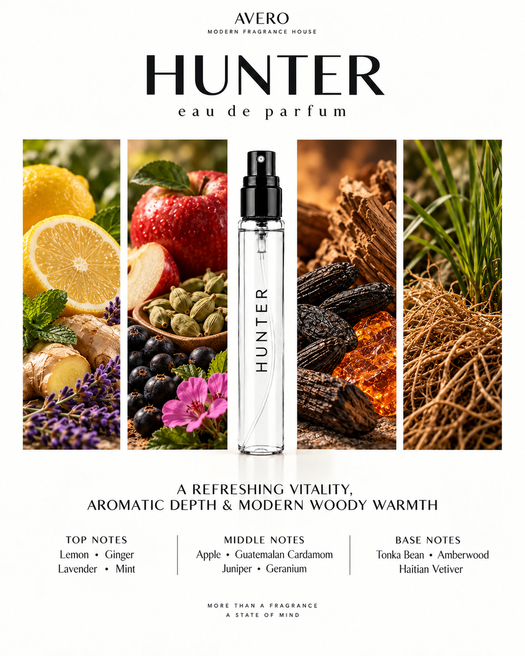 Avero Hunter Eau de Parfum | Inspired by Azzaro Wanted