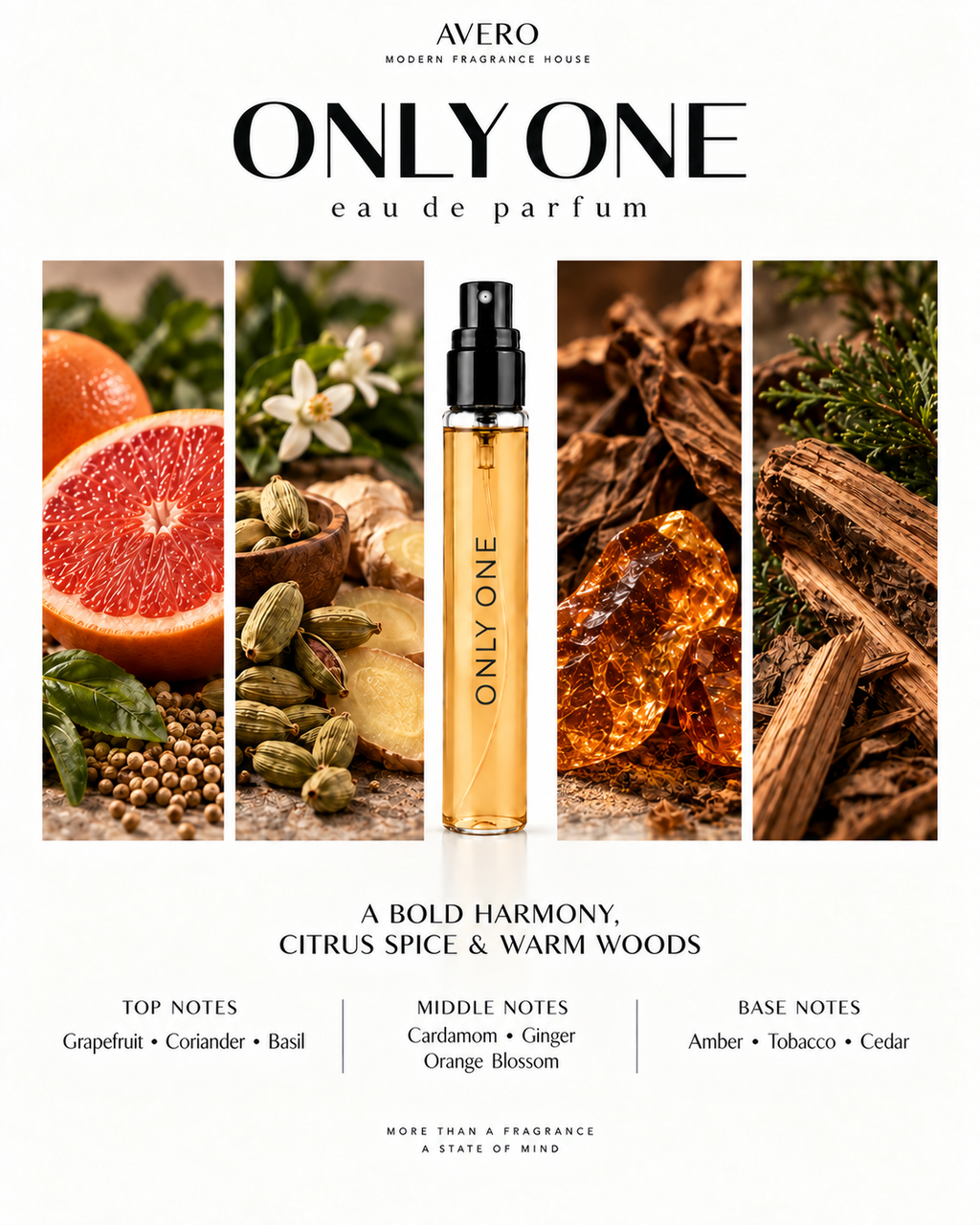 Avero Only One Eau de Parfum | Inspired by The One for Men EDP by Dolce&Gabbana
