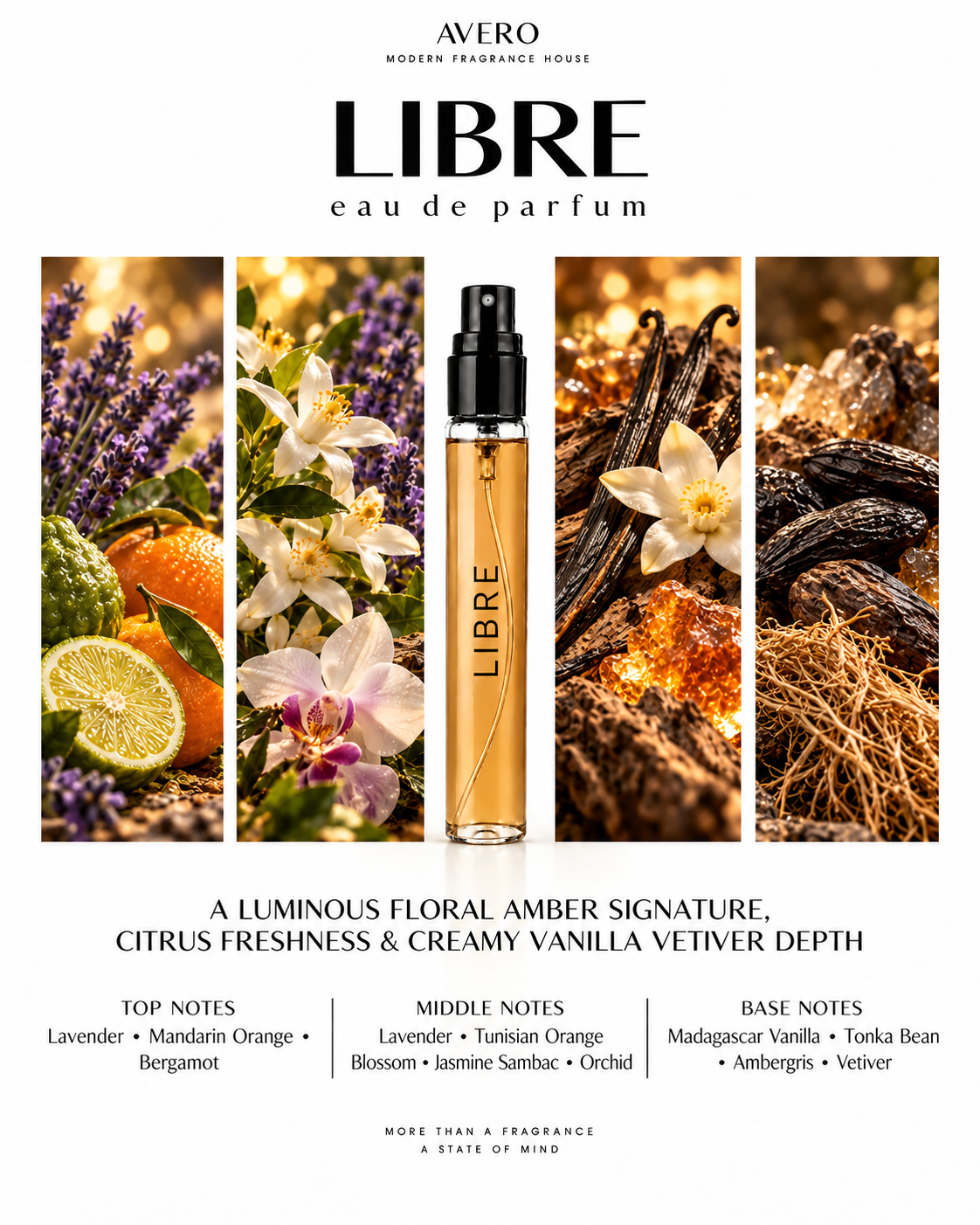Avero Libre Eau de Parfum | Inspired by Libre Intense by Yves Saint Laurent