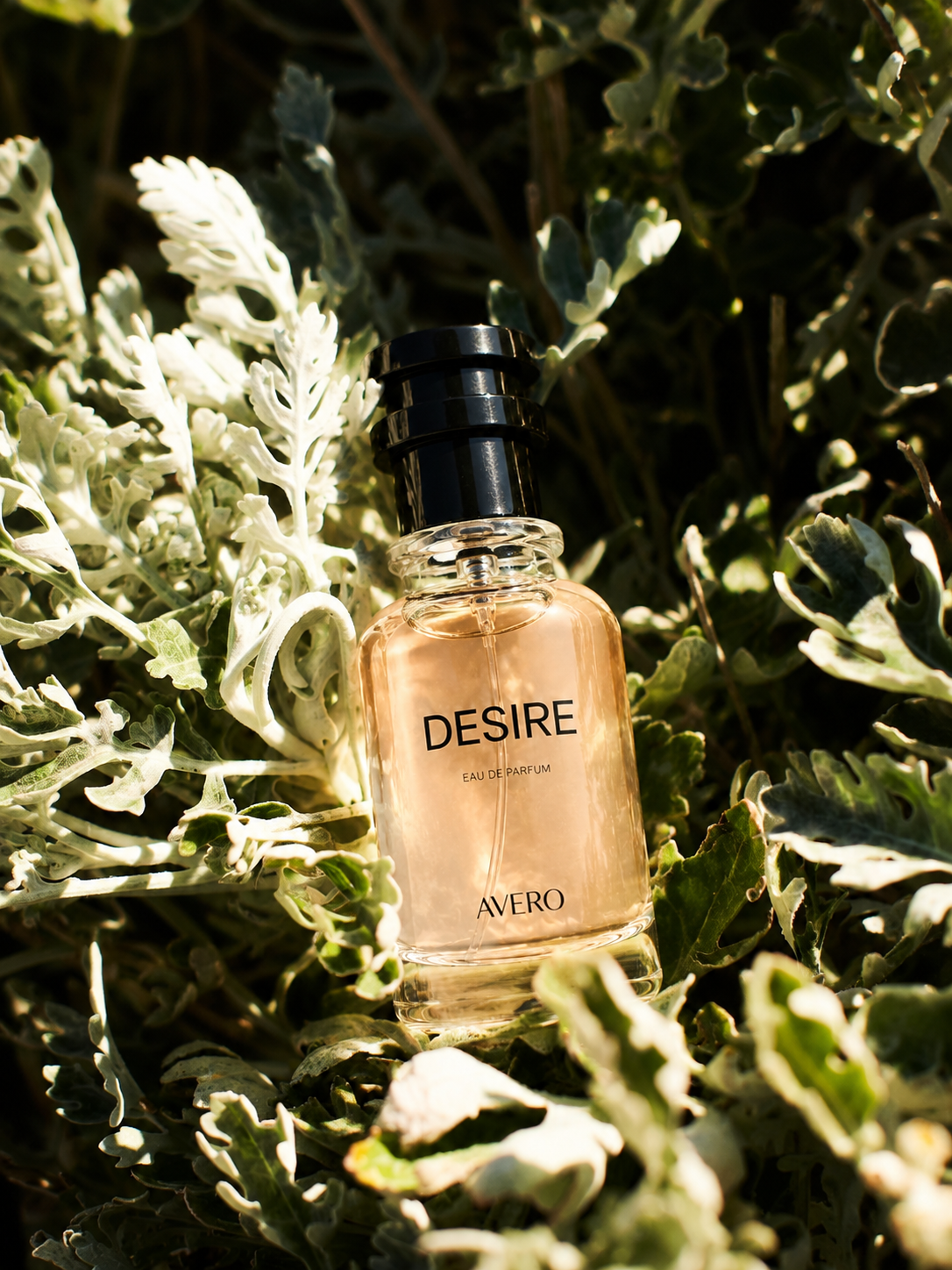 Avero Desire EDP – Unisex Eau de Parfum 50ml | Inspired by Ganymede Marc-Antoine Barrois